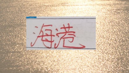 开云体育网址-有的前锋一年几十场比赛踢下来 进球还不如海港队长王燊超多