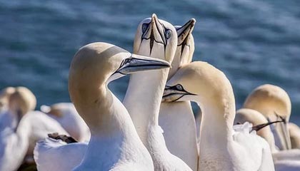 开云官网-将迎生日与胜利失之交臂 詹姆斯：错过太多好机会